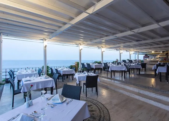 酒店 Falcon 1511 3*