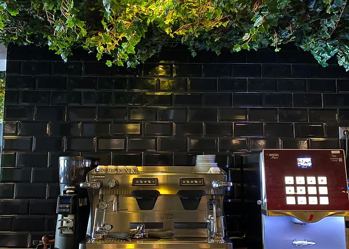 Falcon 1511 酒店