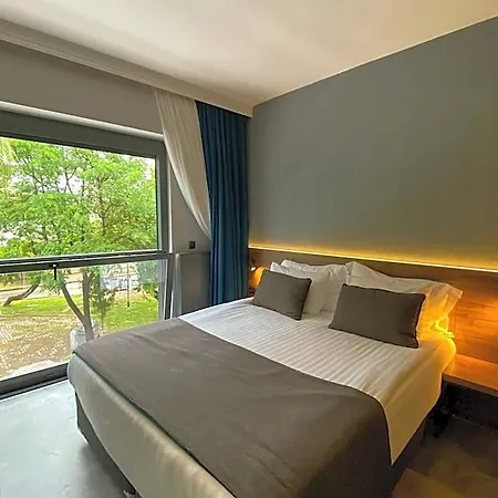 Hotel Falcon 1511