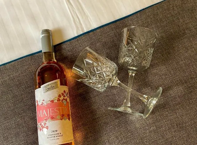 Falcon 1511 호텔 안탈리아